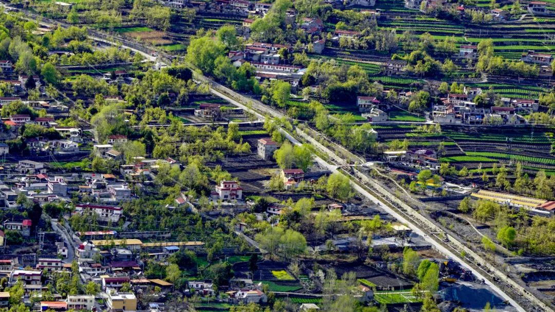3月限定,金川梨花已经开好了,世外梨花源,阿坝小江南,美出圈_澎湃号