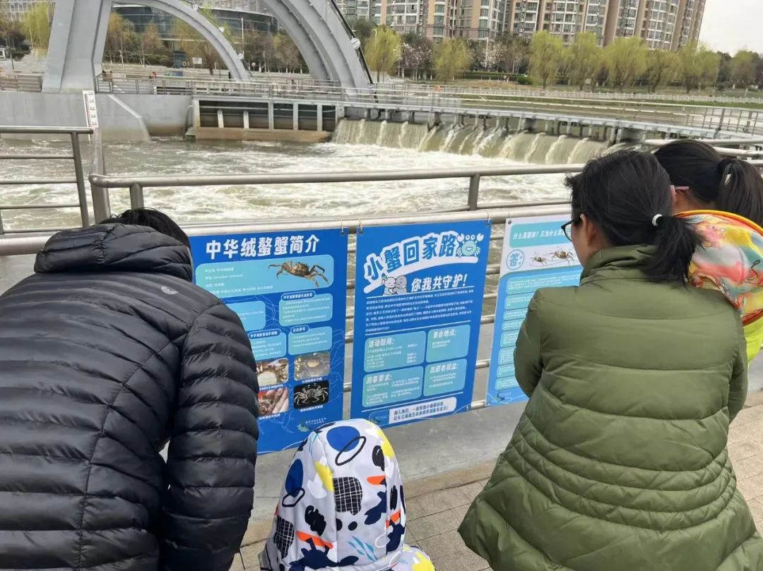 澎湃号·政务_澎湃新闻-the paper