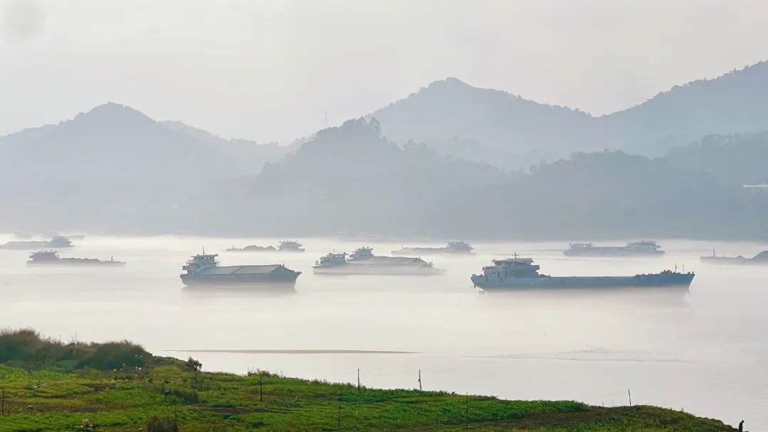 德庆美拍 | 这样的西江你见过吗?_澎湃号·政务_澎湃新闻-the paper