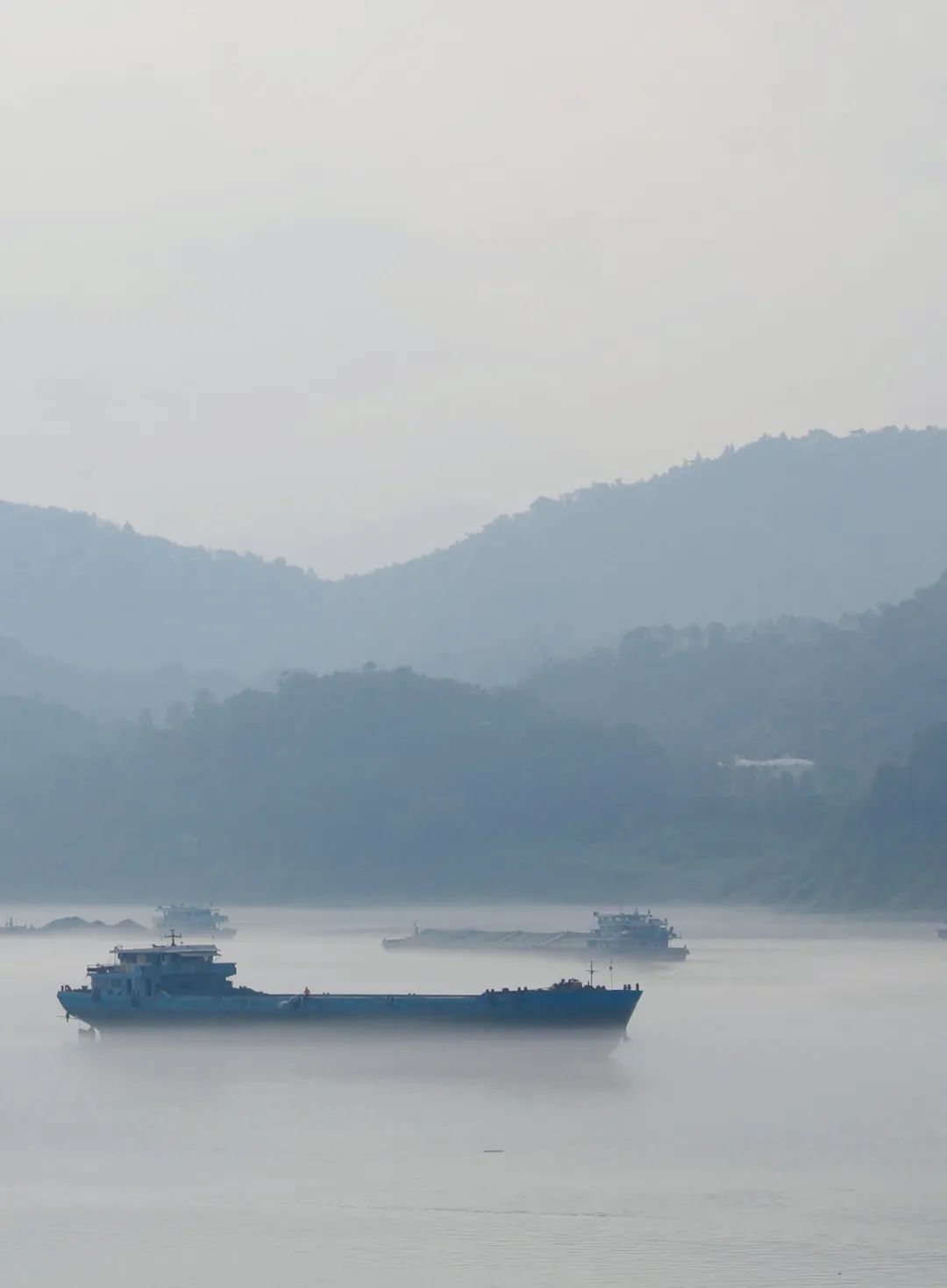 德庆美拍 | 这样的西江你见过吗?_澎湃号·政务_澎湃新闻-the paper