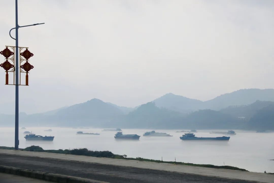 德庆美拍 | 这样的西江你见过吗?_澎湃号·政务_澎湃新闻-the paper