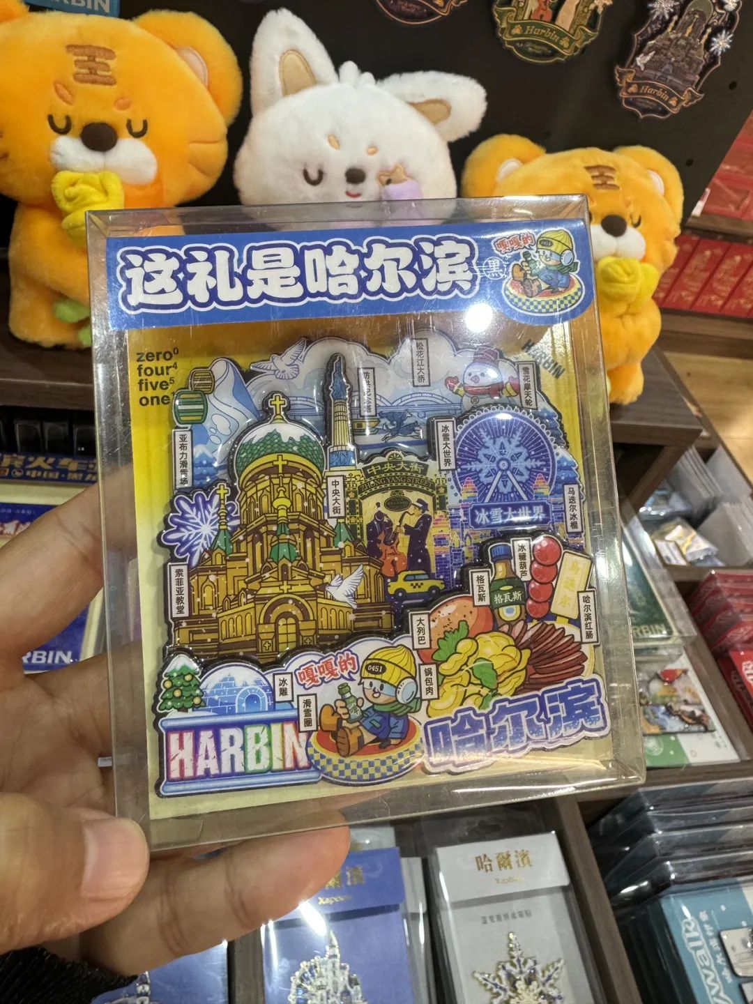 去年夏天,"小狗造物"王家乐和郭金妮回到哈尔滨,为