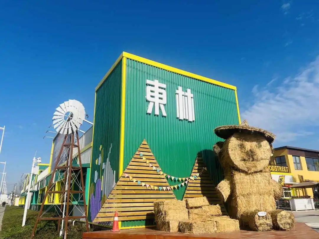 东林村乡村游火"出圈" 在花田里看艺术展,听音乐