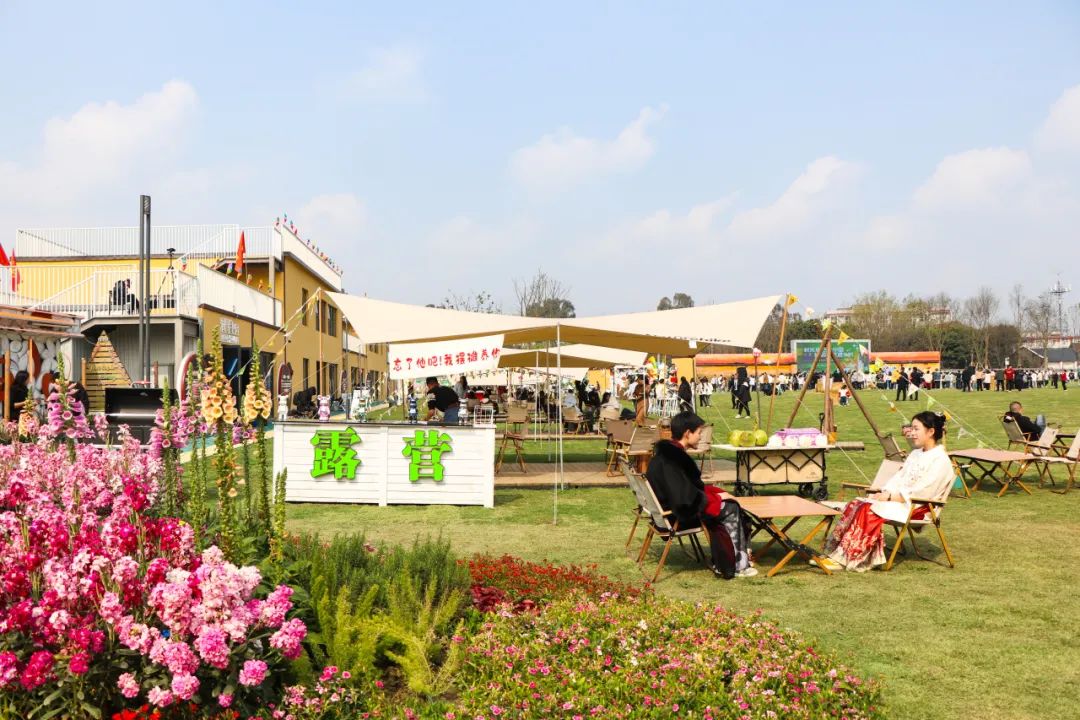 东林村乡村游火"出圈" 在花田里看艺术展,听音乐会,喝咖啡……_澎湃号