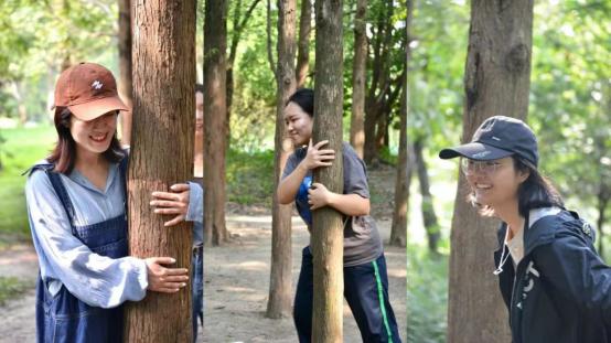 第一批在春天“发疯”的白领们，开始去公园抱树了_澎湃号·湃客_澎湃新闻-The Paper