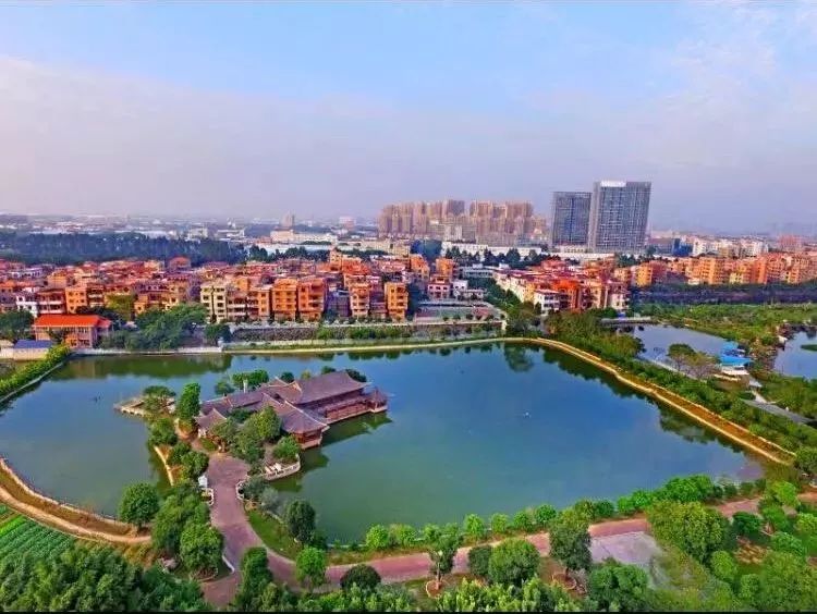 禅城这6条村,奖励10万元→_澎湃号·政务_澎湃新闻-the paper