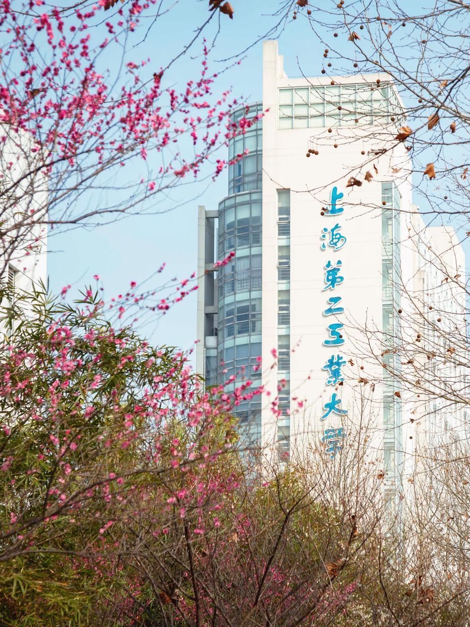 上海高校的春日浪漫藏不住啦~_澎湃号·政务_澎湃新闻-the paper