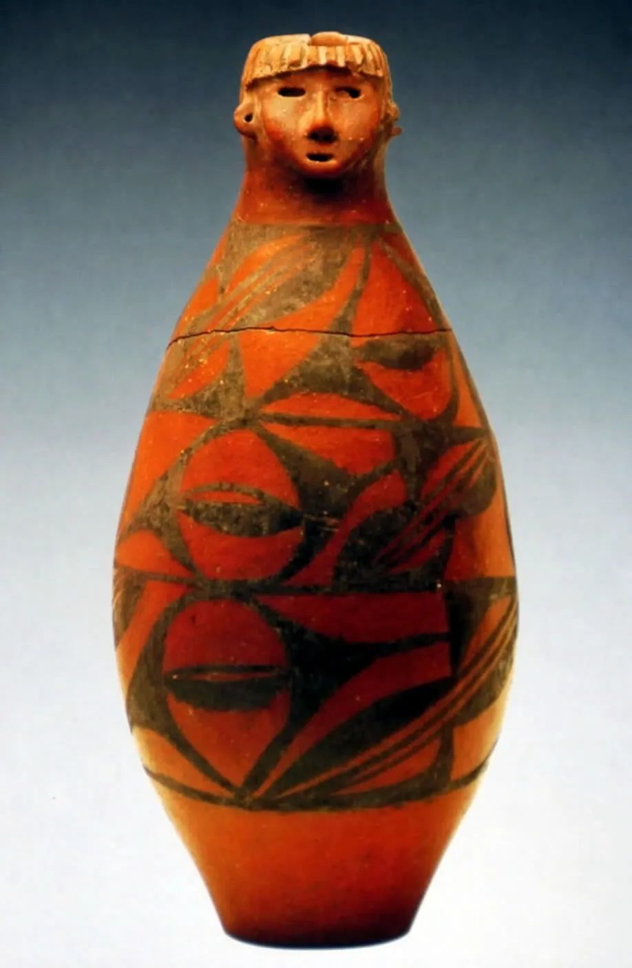 都闪耀着中华文明久远的曙光大地湾遗址发现的方方面面从彩陶到农业