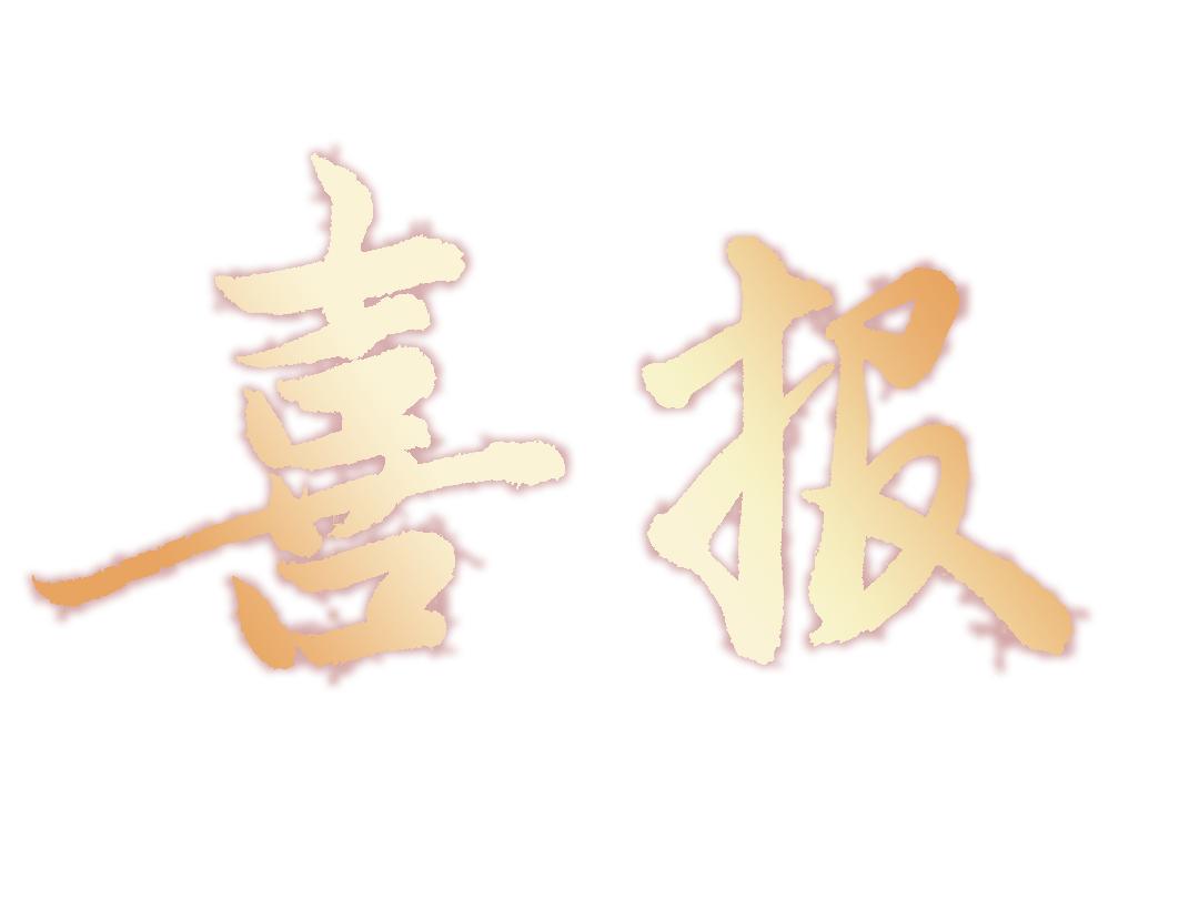 春风传喜讯 捷报催新征 雁塔法院多项工作荣获市法院表彰_澎湃号