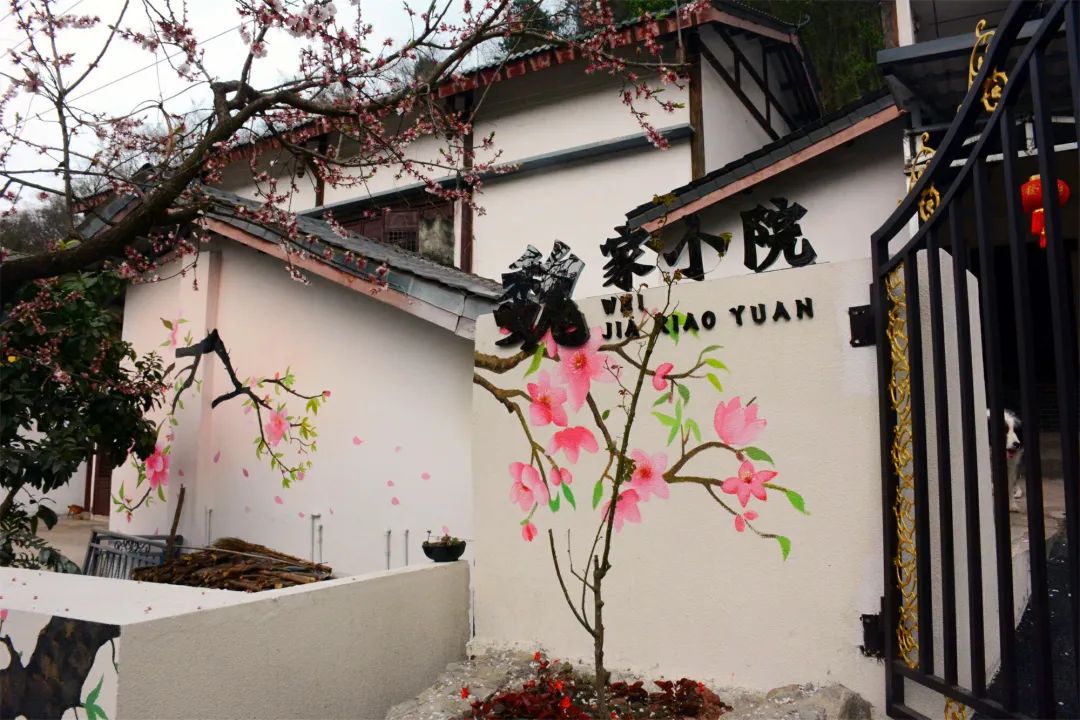 桃花荟·春光好 | 桃花墙上"开"!龙泉山农家院落美如"画"
