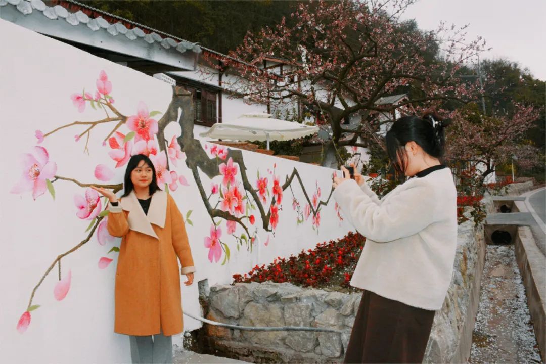 经过墙绘师们的努力,一面面色彩浓郁,创意十足的桃花墙绘格外醒目,就