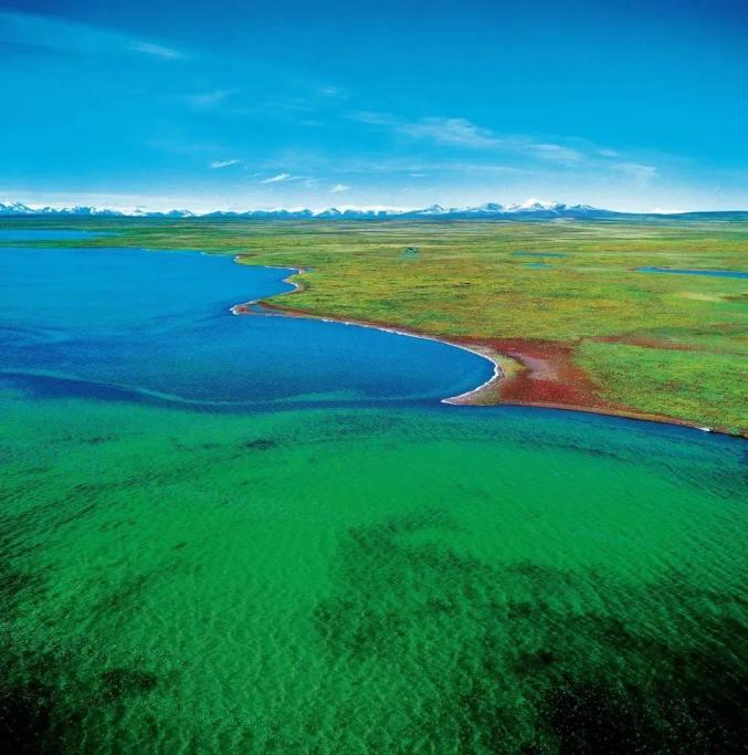 田捷砚可可西里不仅不是荒漠,反而是中国的水乡这里是中国湖泊最密集