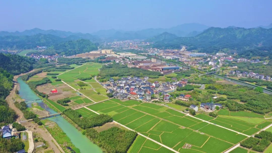 临安区太阳镇政府达成三方战略合作,在枫树岭村建成集乡村概貌,产业
