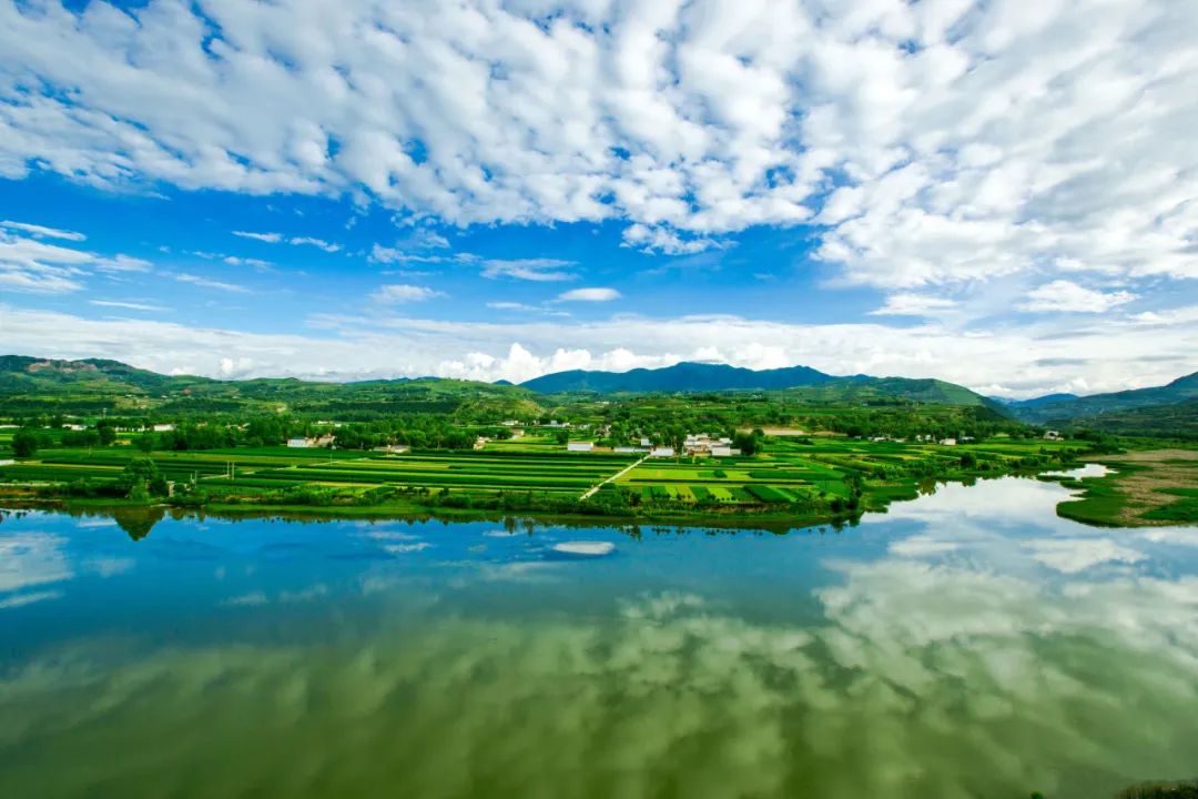 临洮楹联协会 余尚谋 任洮水菊巷菊开,诗经诗韵洮阳,松花庵集古