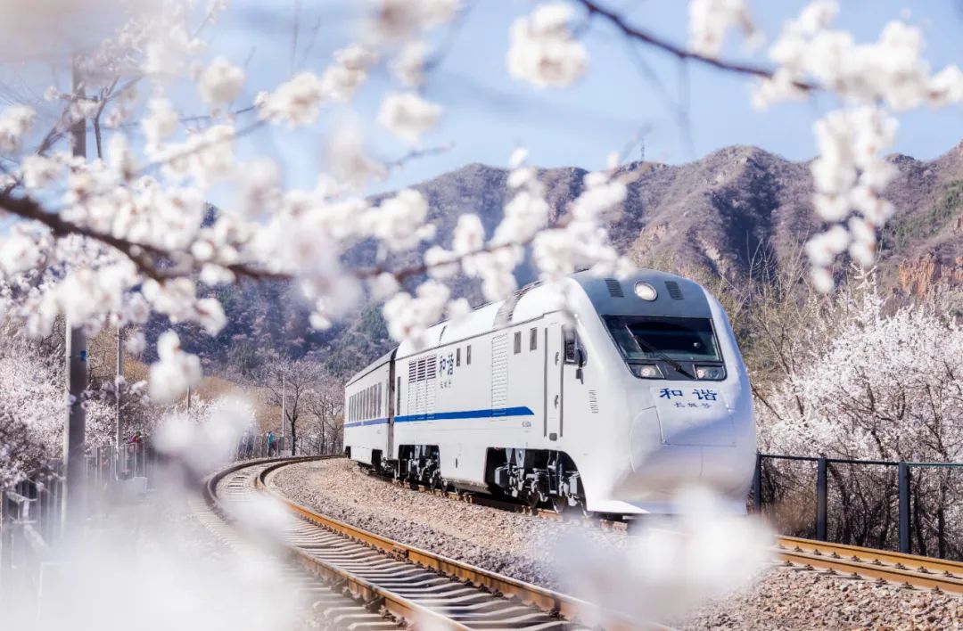 开往春天的列车,丝毫不输日本,浪漫溢出屏幕,还藏着