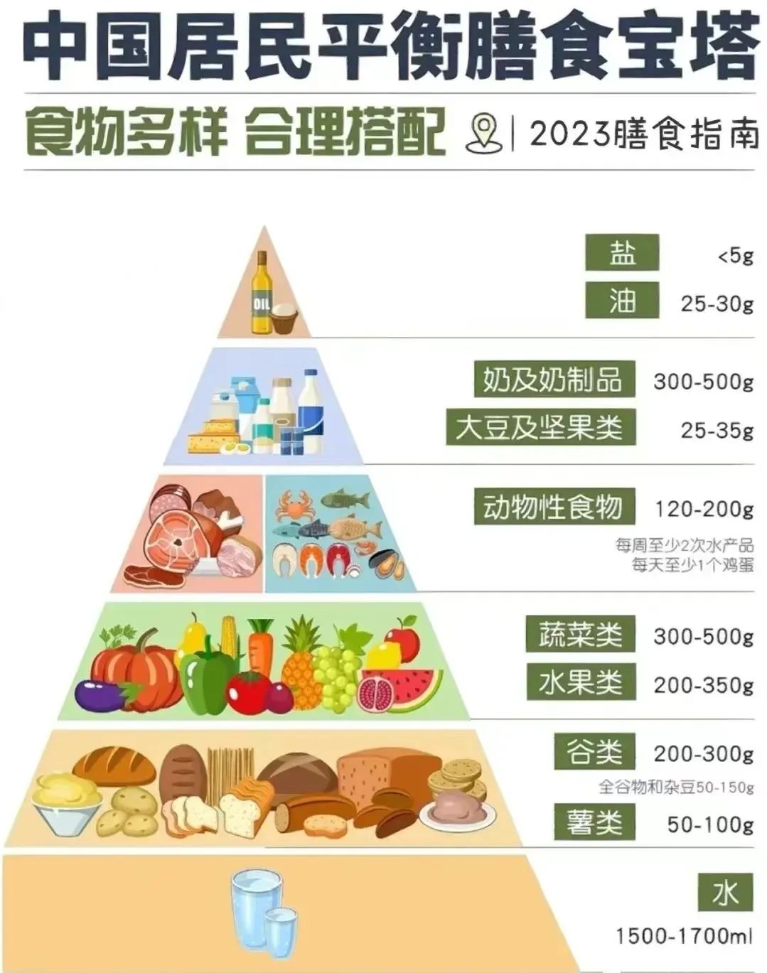 膳食宝塔文字图片