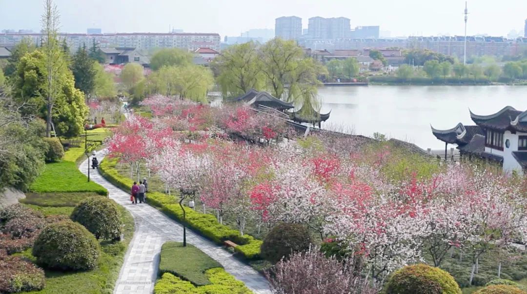 今天11时06分,泰州正式进入……_澎湃号·政务_澎湃新闻-the paper