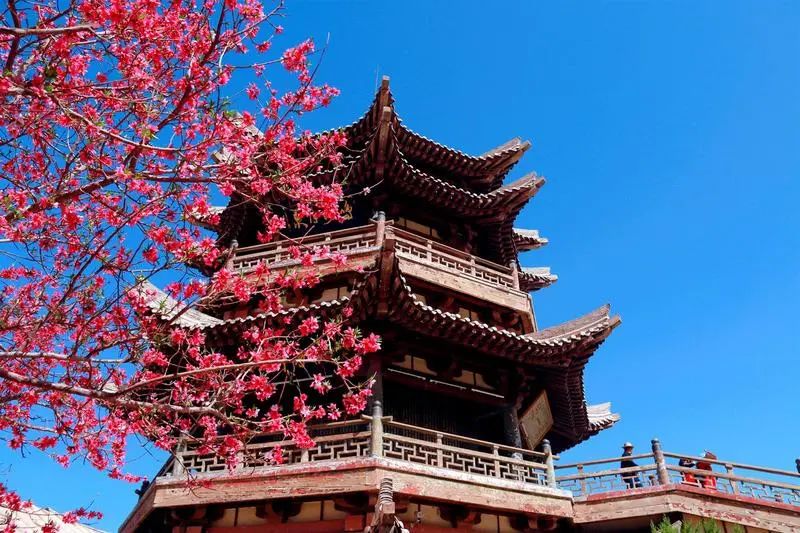 澎湃号·政务_澎湃新闻-the paper