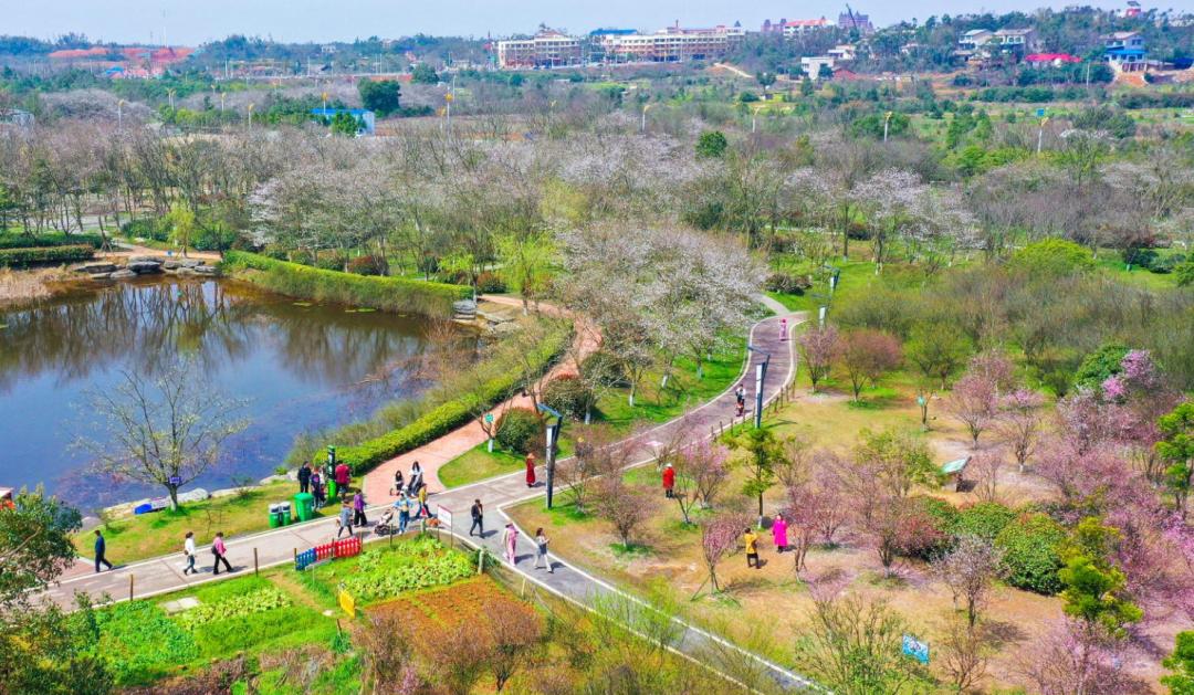 今天11时06分,望城正式进入……_澎湃号·政务_澎湃新闻-the paper