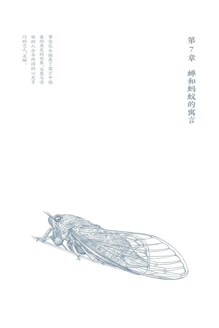 春天,我们该到另一所学校去念书_澎湃号·湃客_澎湃新闻-the paper