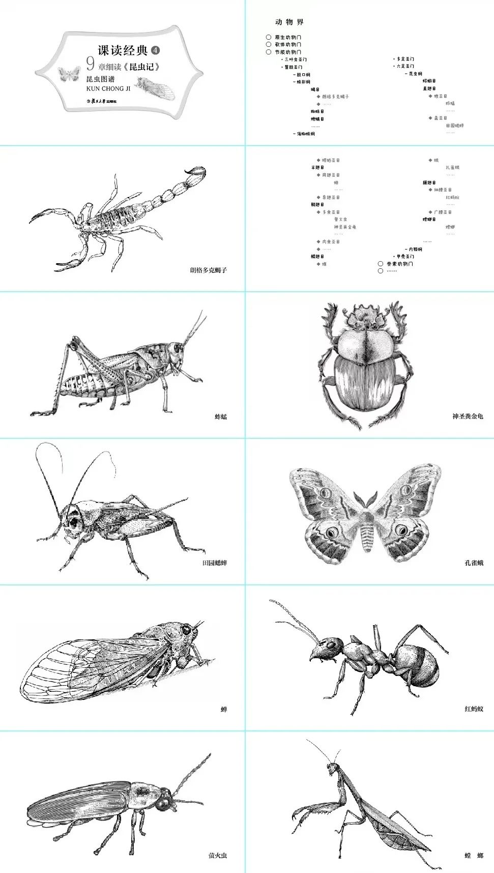 春天,我们该到另一所学校去念书_澎湃号·湃客_澎湃新闻-the paper