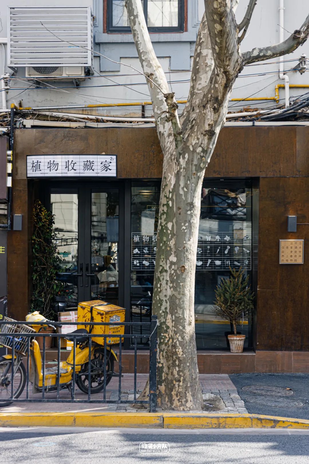 红酒,咖啡都不缺蒲园杨绛先生《我们仨》的安乐窝长乐邨著名的凡尔登