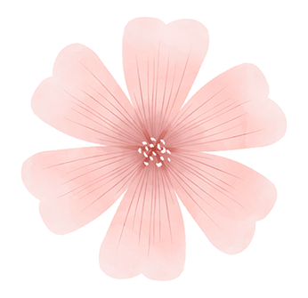 连翘花最佳赏花地点:元宝山百花园,峰峰植物园建议赏花时间:3月中下旬