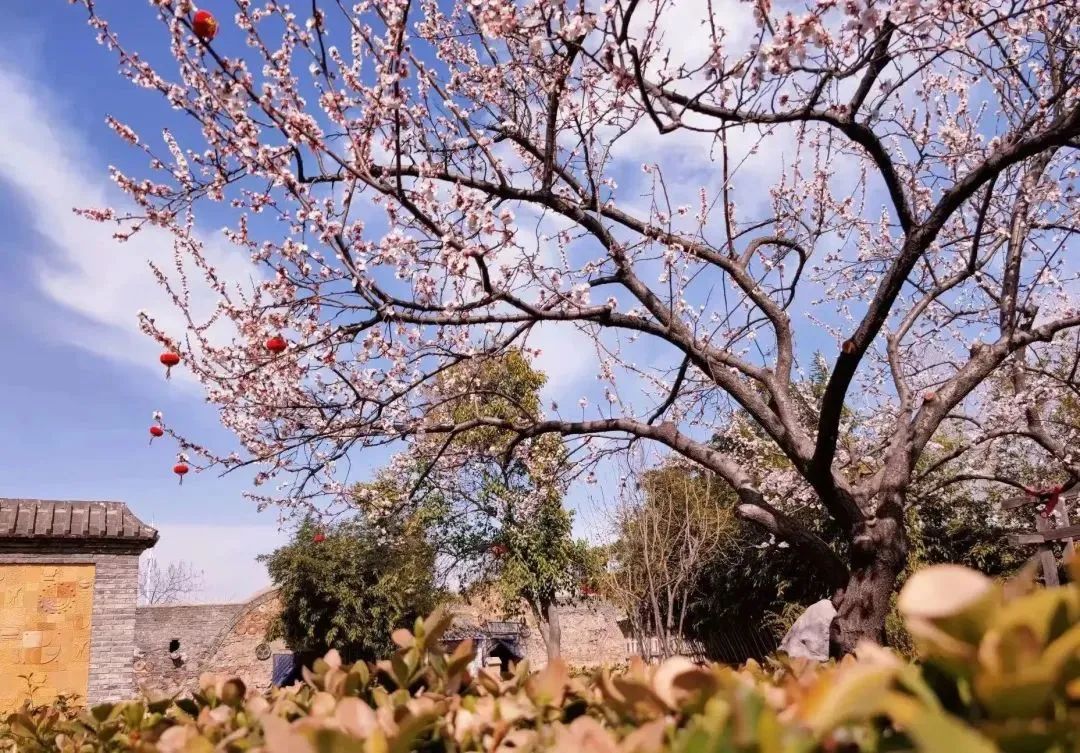 峰峰的6464646464,想开了!