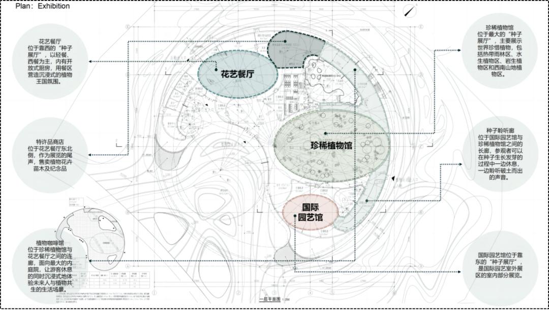 作品|2024年成都世界园艺博览会核心建筑植物馆_澎湃