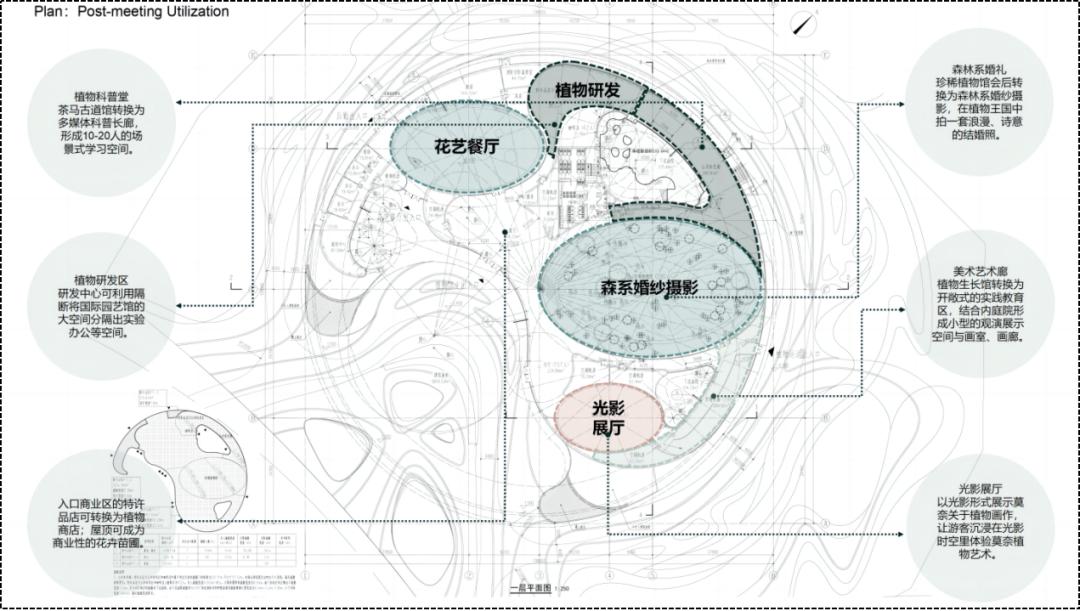 作品|2024年成都世界园艺博览会核心建筑植物馆_澎湃