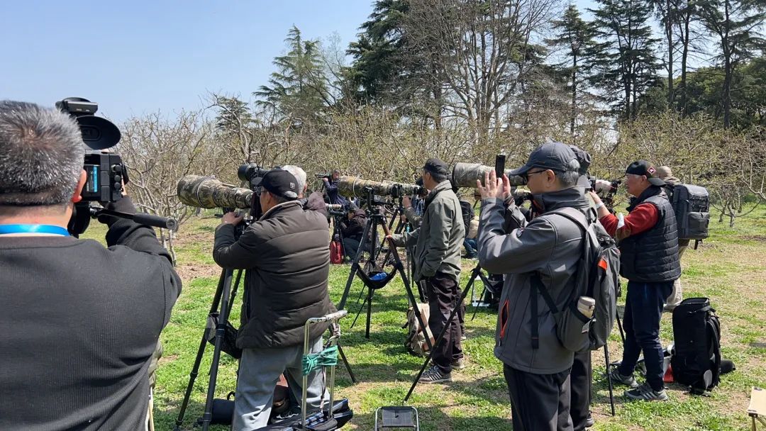 浦江郊野公园观鸟图片