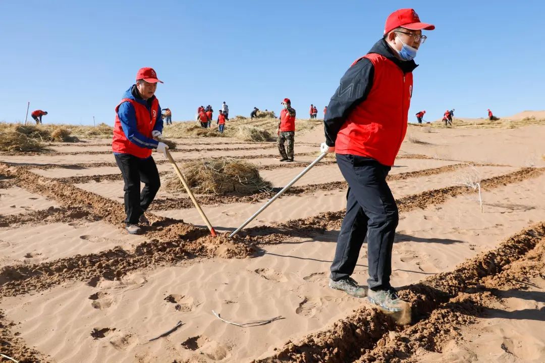 组图古浪治理剩余沙化土地打响歼灭战