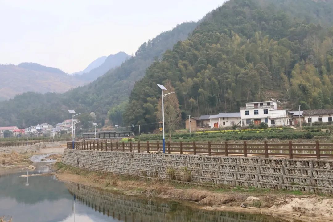 【巾帼榜样】章彩凤:村民心中的"贴心闺女"_澎湃号