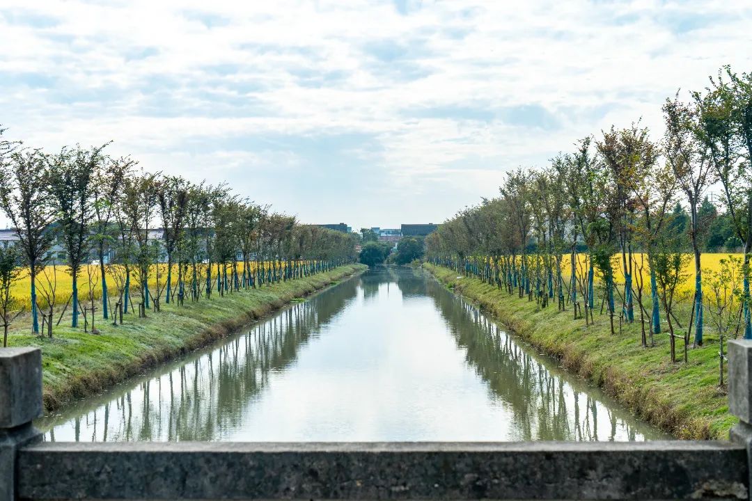 涉及新建道路,助老服务等方面,2024年外冈镇实事项目来啦!