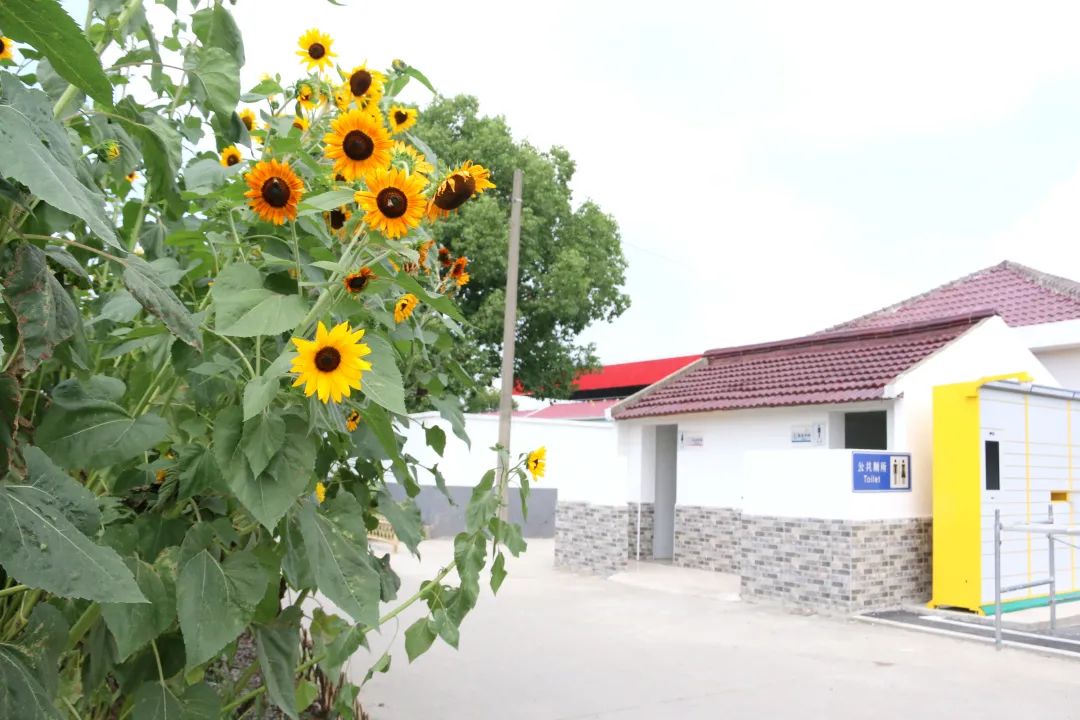 涉及新建道路,助老服务等方面,2024年外冈镇实事项目来啦!