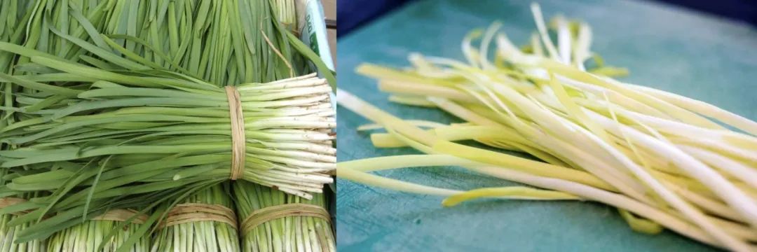 "贡"你参考,"菜"菜分明_澎湃号·政务_澎湃新闻-the paper