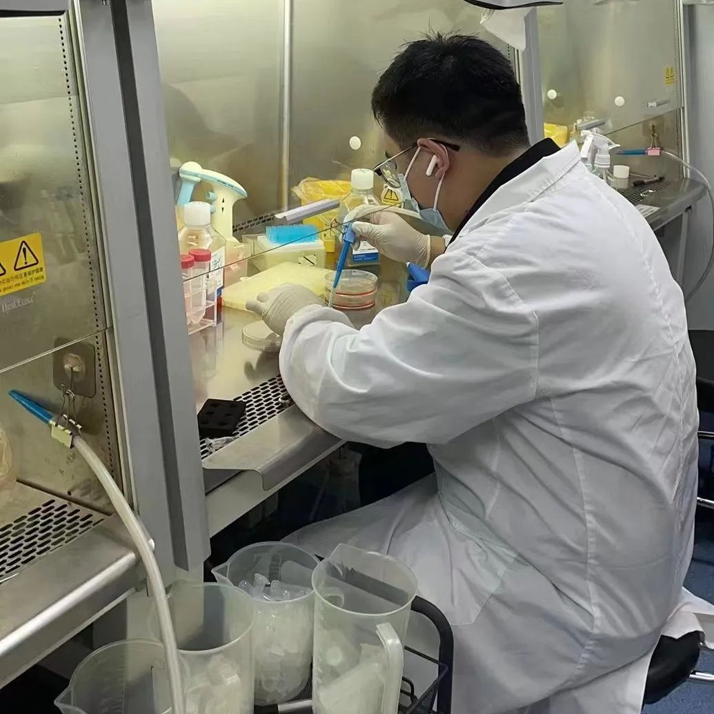 祝贺这位武大博士生_澎湃号·政务_澎湃新闻-the paper