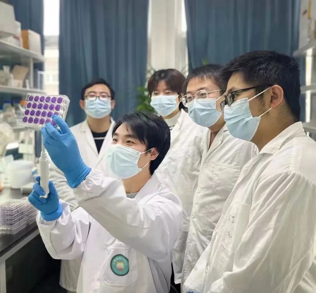 祝贺这位武大博士生_澎湃号·政务_澎湃新闻-the paper