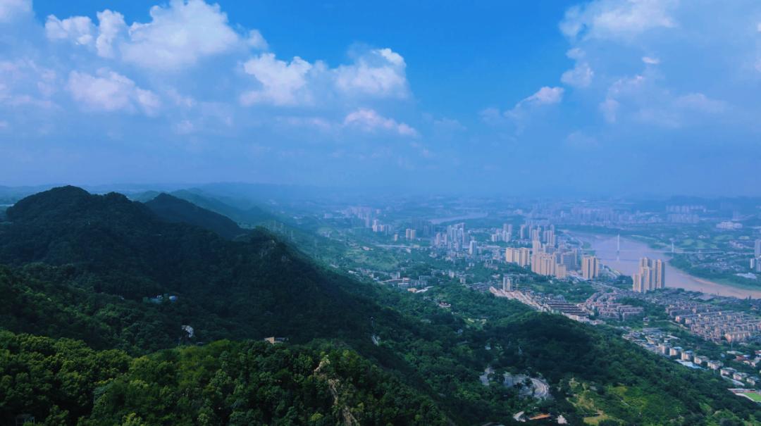 不去一趟歌乐山的春天是不完整的_澎湃号·政务_澎湃新闻-the paper