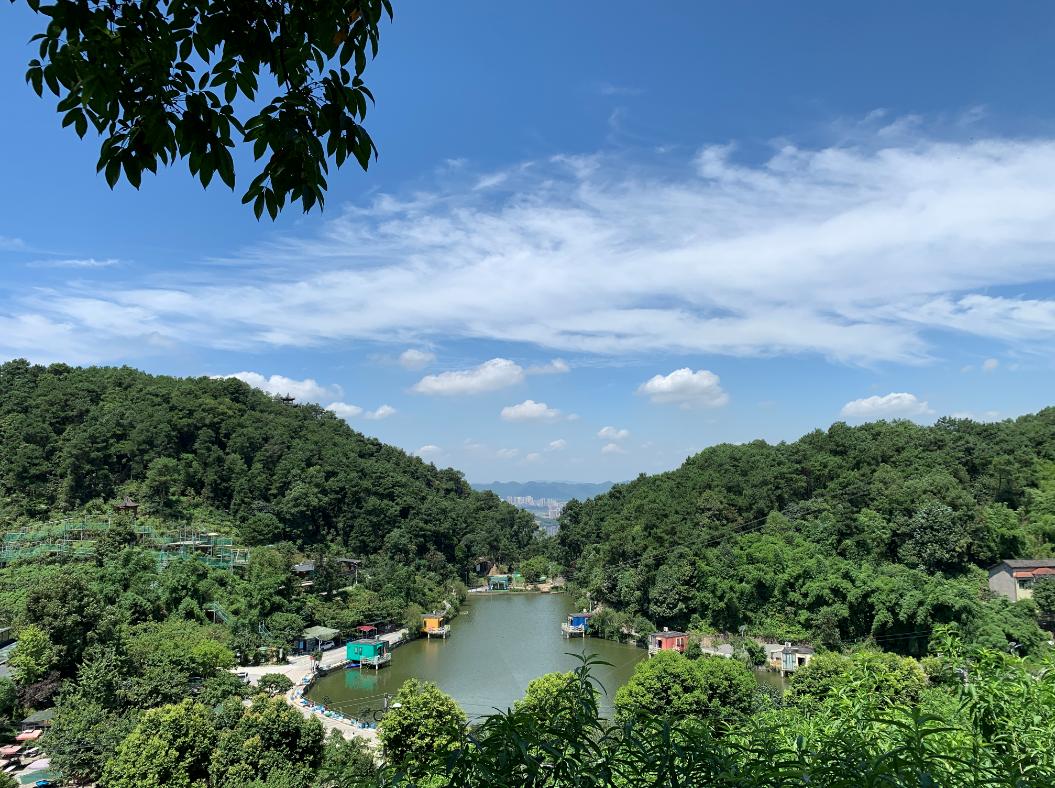 不去一趟歌乐山的春天是不完整的_澎湃号·政务_澎湃新闻-the paper