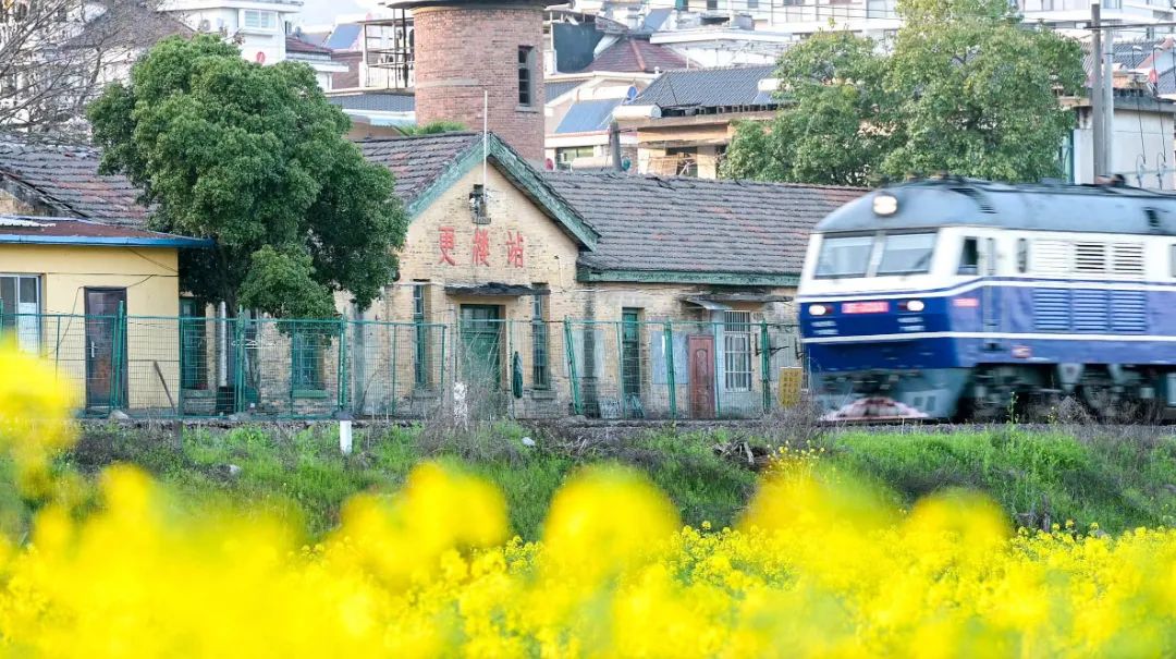 阳光和煦还有清潭村的绝美梯田油菜花海邂逅溪口村这片春光烂漫的花田