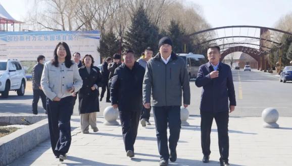 省民政厅调研组来梅考察省级公益小镇创建情况_澎湃号