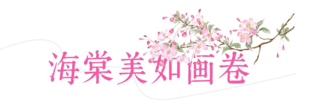 花· 事 | 英山春日[追花日历]来啦!