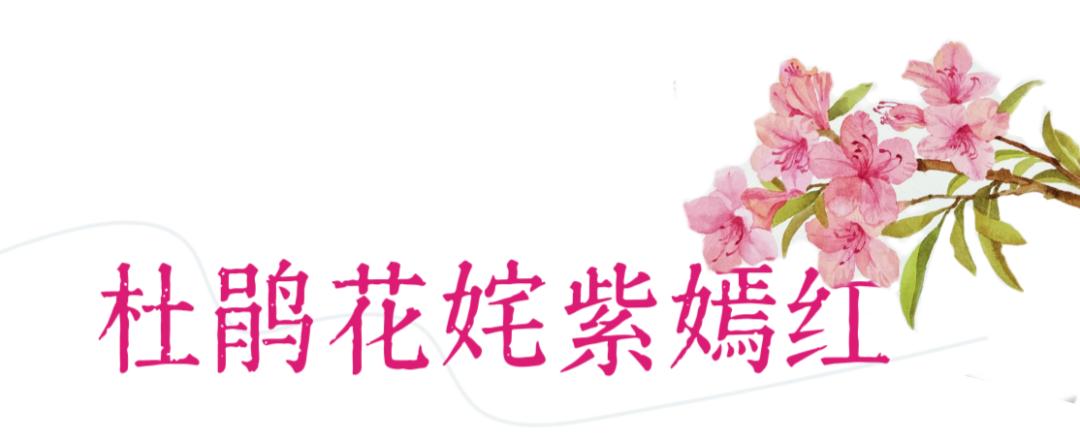 花· 事 | 英山春日[追花日历]来啦!