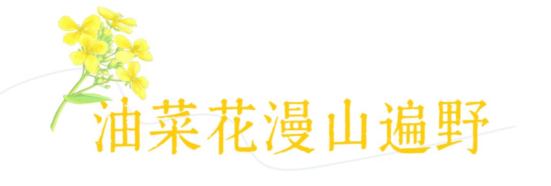 花· 事 | 英山春日[追花日历]来啦!