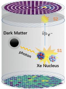 暗物质探测和无中微子双贝塔衰变实验