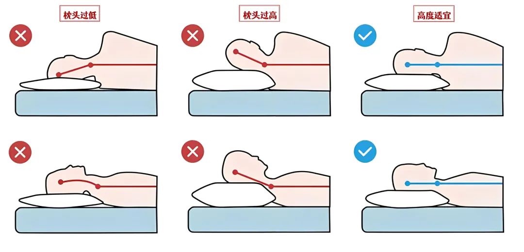 枕头的正确姿势图片