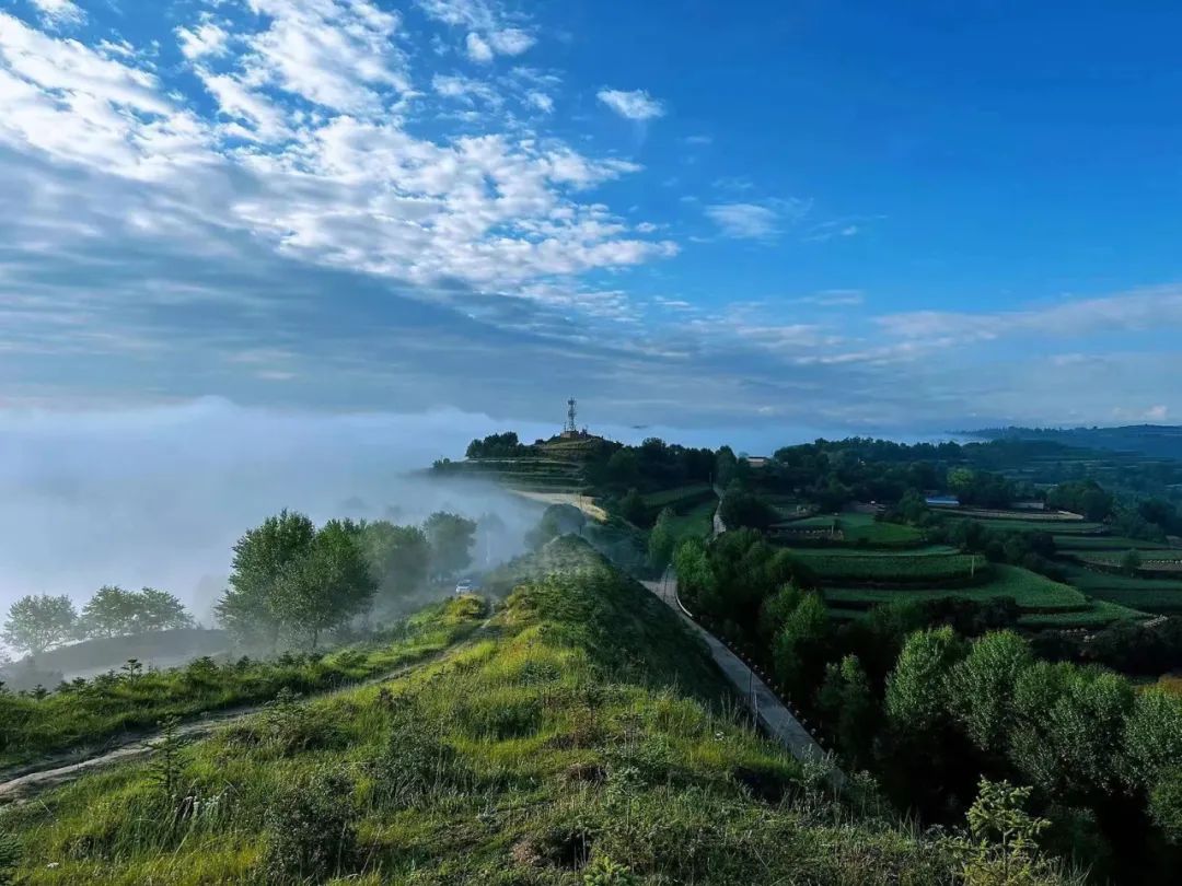 临洮楹联协会 张燕玲南峪沟喜鹊沟,沟沟药香说春早;堰水坪张家坪