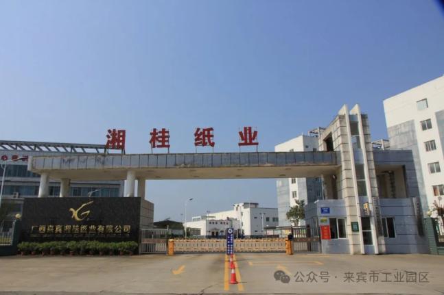 【企业风采】来宾湘桂纸业:守正创新实干追梦 打造绿色标杆企业_澎湃