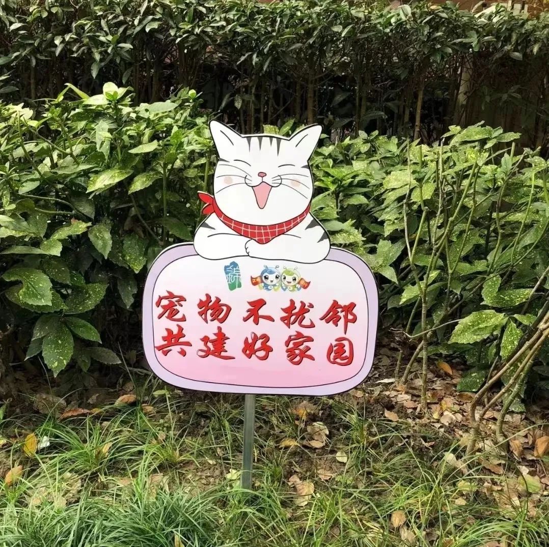 赞宁波  见文明 | 文明养犬,这个社区有支志愿服务队